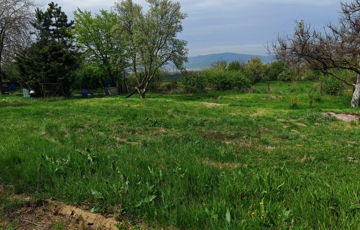 Eladó telek/földterület