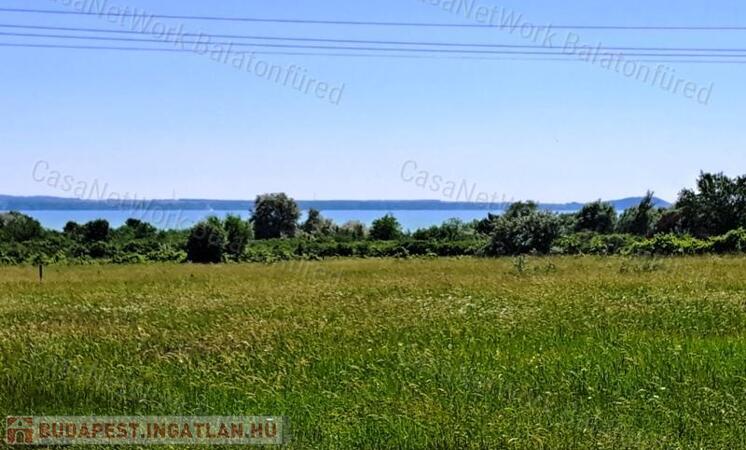 Könnyű megközelíthetőség - eladó SZŐLŐTERÜLET BALATONAKALIBAN                                 