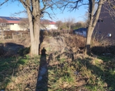 Eladó telek/földterület Baja 12 200 000 Ft