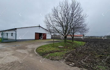 Kiadó ipari ingatlan