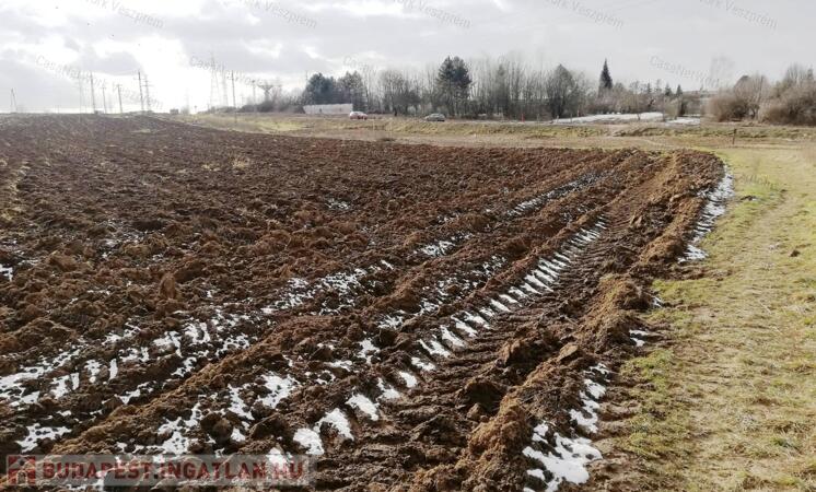 Belterületi szántó eladó, Veszprémben                                 