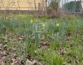 Eladó családi ház Aba 25 800 000 Ft