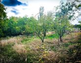 Eladó üdülő/nyaraló Bölcske 3 500 000 Ft