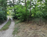 Eladó családi ház Kiskunmajsa 6 900 000 Ft