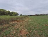 Eladó telek/földterület Gödöllő 41 900 000 Ft