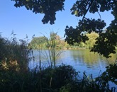 Eladó telek/földterület Szigetcsép 17 500 000 Ft