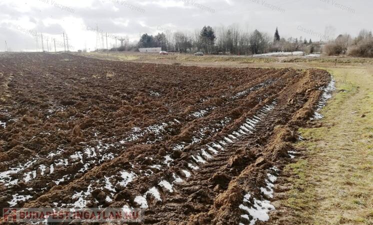 Belterületi szántó eladó, Veszprémben                                 