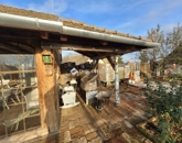 Eladó családi ház Mohács 43 500 000 Ft