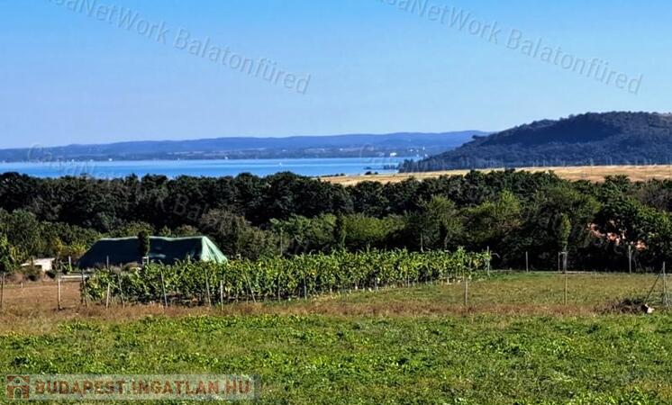 PANORÁMÁS ,ÉPÍTHETŐ - eladó MEZŐGAZDASÁGI TERÜLET BALATONFÜREDEN                                 