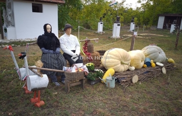 Eladó telek/földterület