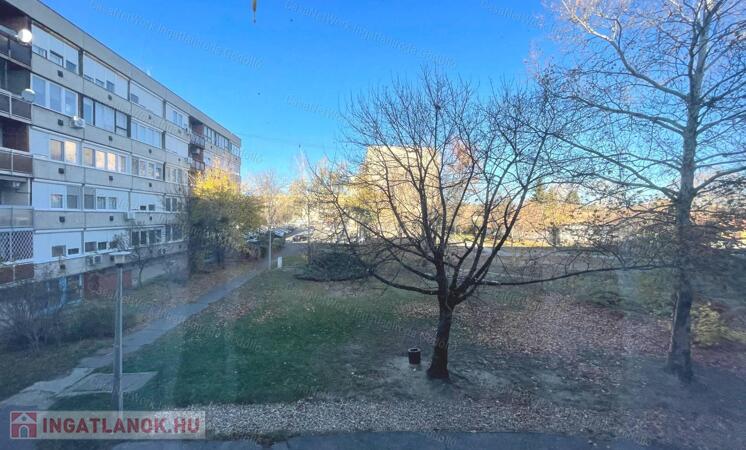 Napfényes, tágas lakás