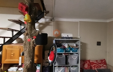 Eladó üdülő/nyaraló