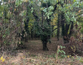 Eladó telek/földterület Kőszeg 59 500 000 Ft