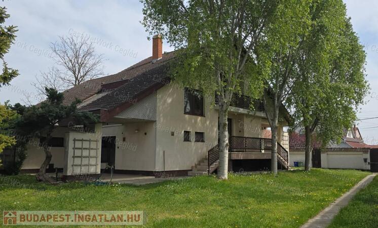 Egyedi kivitelezésű, tágas családi ház eladó Cegléden nagy telekkel!                                 