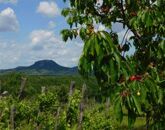 Eladó lakás Kisapáti 22 900 000 Ft