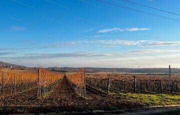 Eladó telek/földterület