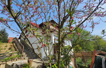 Eladó családi ház