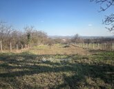 Eladó telek/földterület Tök 29 900 000 Ft