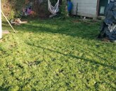 Eladó telek/földterület Verőce 68 900 000 Ft