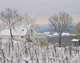 Vendégház lenyűgöző panorámával a Balaton-felvidéki Nemzeti Park tetején