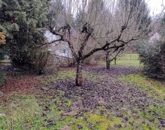 Eladó telek/földterület Nógrádszakál 17 000 000 Ft