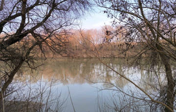 Eladó üdülő/nyaraló