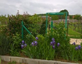 Eladó telek/földterület Hosszúhetény 3 200 000 Ft