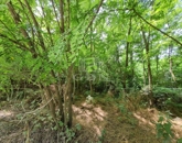 Eladó telek/földterület Isaszeg 11 900 000 Ft