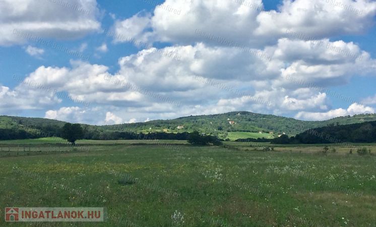 BALATONSZŐLŐSÖN  település közeli SZÁNTÓ TERÜLET