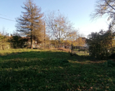 Eladó családi ház Nagykutas 8 000 000 Ft