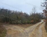 Eladó 1/1 tulajdonú ERDŐ BALATONUDVARIBAN