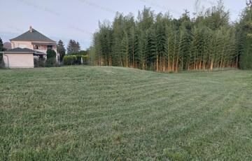 Eladó telek/földterület