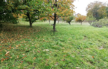 Eladó telek/földterület