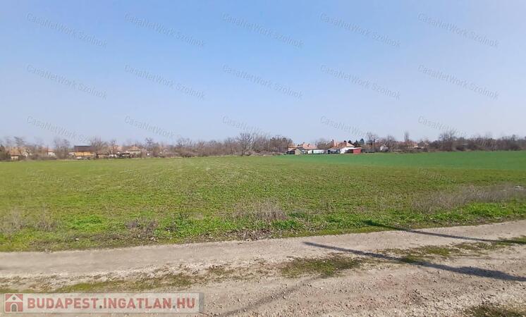 Eladó Tiszaföldváron egy  3310 m2-es építési telek.                                 