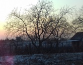 Eladó telek/földterület Monor 7 500 000 Ft