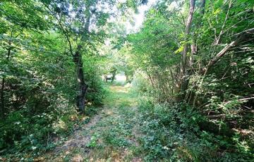 Eladó telek/földterület