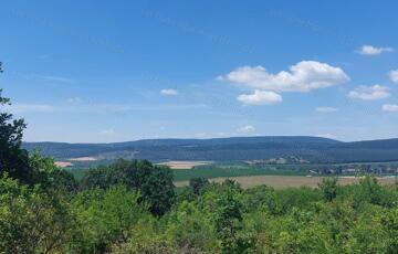 Eladó telek/földterület