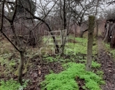 Eladó családi ház Szigethalom 59 900 000 Ft