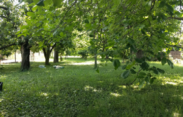 Eladó telek/földterület