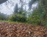 Eladó családi ház Tolnanémedi 115 000 000 Ft