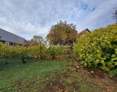 Eladó családi ház Töttös 18 000 000 Ft