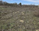 Eladó telek/földterület Dabas 12 000 000 Ft