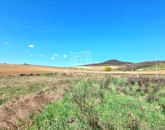 Eladó telek/földterület Üröm 39 900 000 Ft