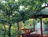 Tarnaörsön, jó környéken, 105 nm-es,  3 + fél szobás családi ház eladó