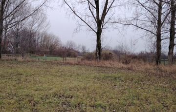 Eladó telek/földterület