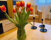 Eladó 3 szobás lakás Komárom központjában berendezéssel, klímával!