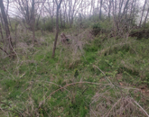 Eladó telek/földterület Karancsalja 5 000 000 Ft