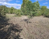 Eladó telek/földterület Kerekegyháza 2 800 000 Ft