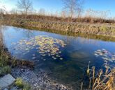 Eladó üdülő/nyaraló Dunapataj 58 700 000 Ft