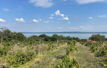 Eladó telek/földterület